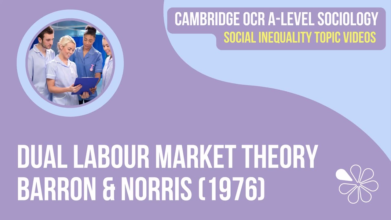 Баррон и Норрис (1976) – Теория двойного рынка труда | Социология уровня A (OCR)