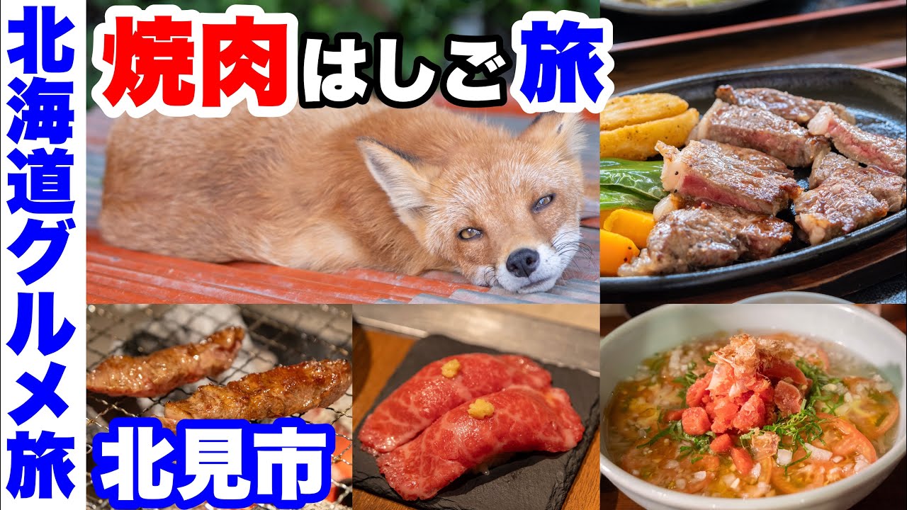 【北海道グルメ旅】北見 焼肉はしご旅。昼ステーキ、夜 焼肉。キツネも登場！(湧別→北見)【3泊4日の1日目】