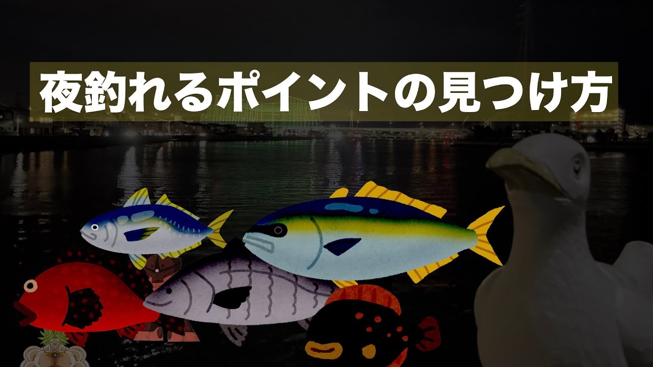 ナイトゲームで釣れるポイントの見つけ方