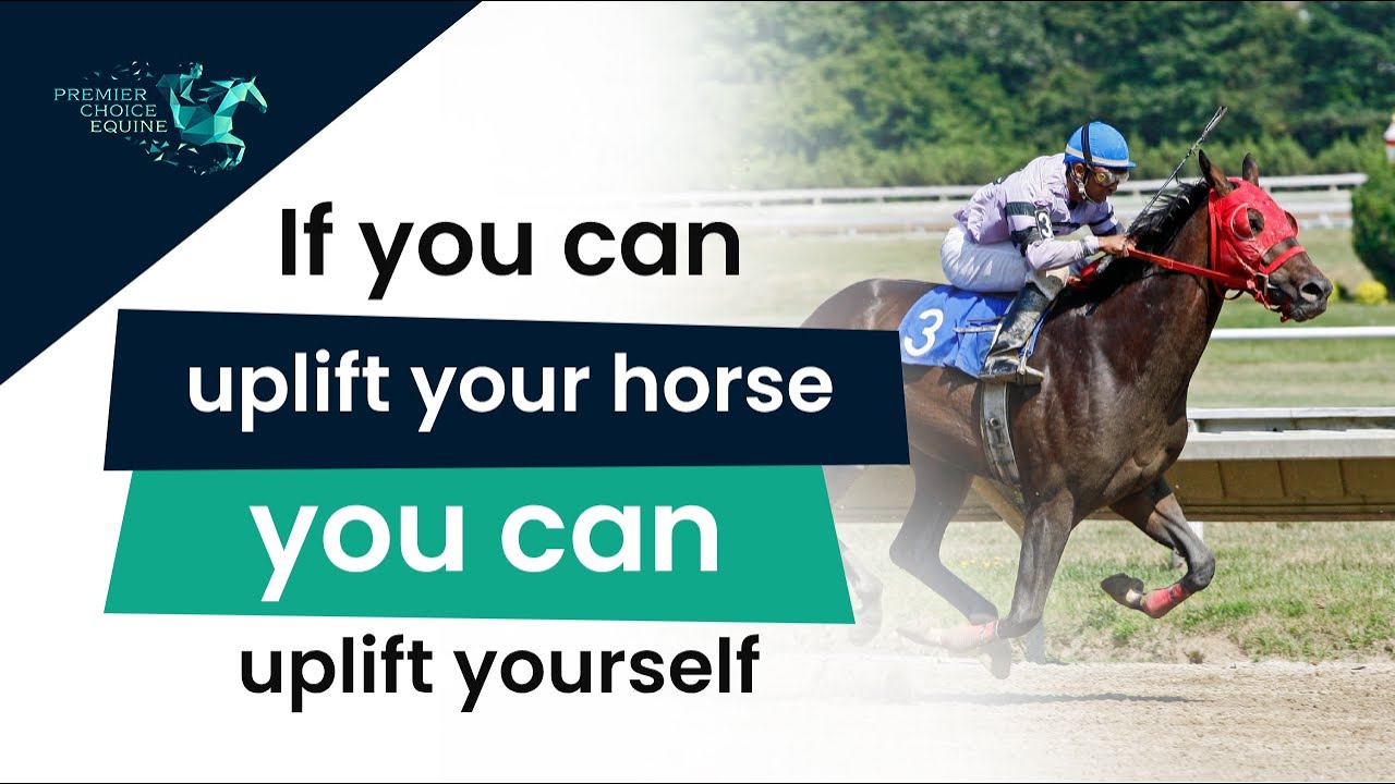 Your Horse's Health Reflects Your Commitment