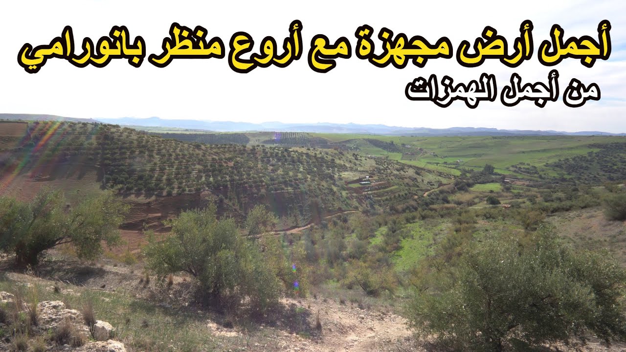 ✨ أجمل أرض فلاحية باروع مناظر بانورامية محفظة بمنطقة غاية بالجمال وثمن مميز✨ بيت تيفلت والخميسات
