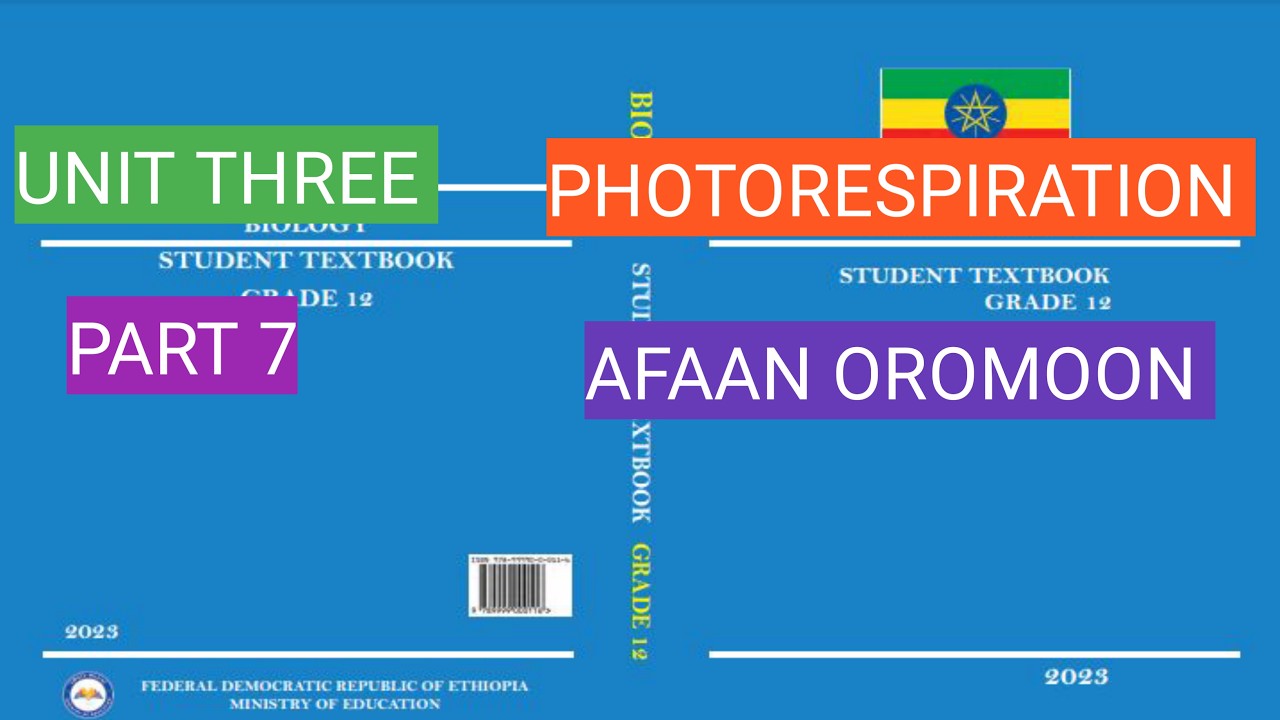 Grade 12 Biology Unit 3 Part 7 | Photorespiration Explained | Afaan Oromoo