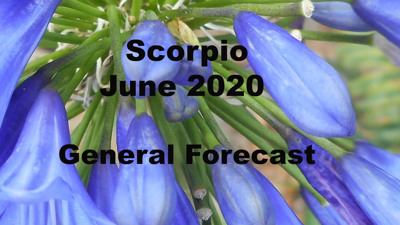 Scorpio June 2020 SACRED UNION Tarot