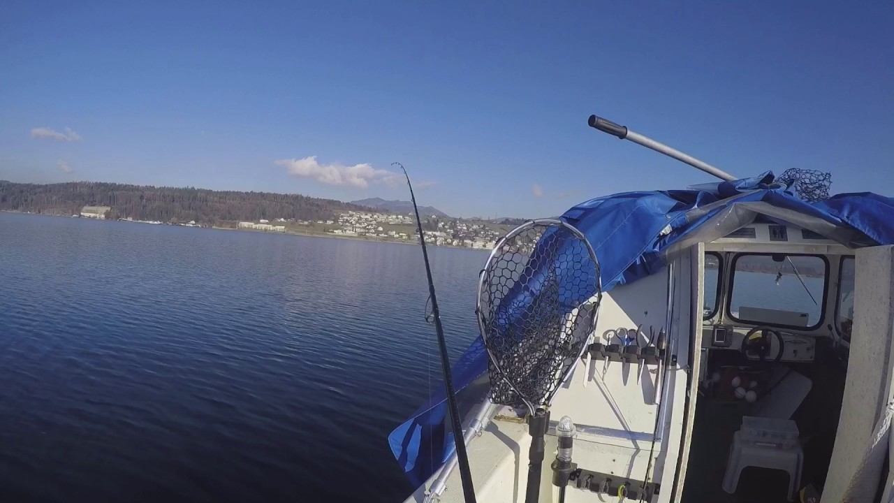 Hechtlis im Zürichsee