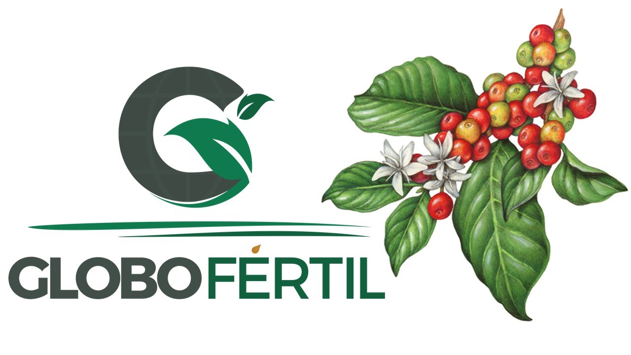 Tratamento fullgreen® para café (3)