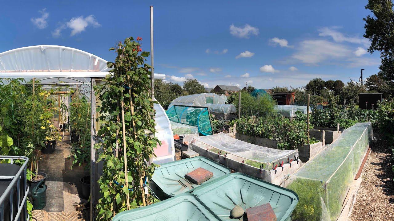 All my polytunnel FAQs answered