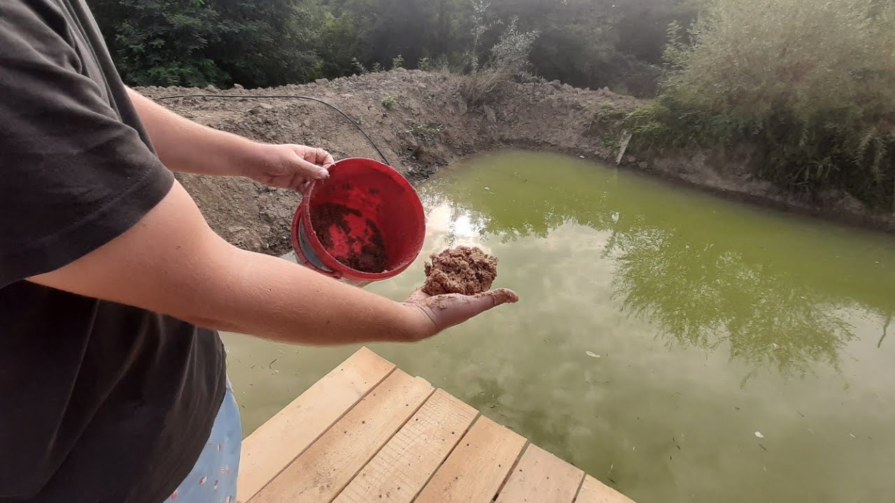 BALTA DE ACASA - IAZUL PERSONAL - CE DAU MANCARE LA PESTE? RETETA NATURALA😁