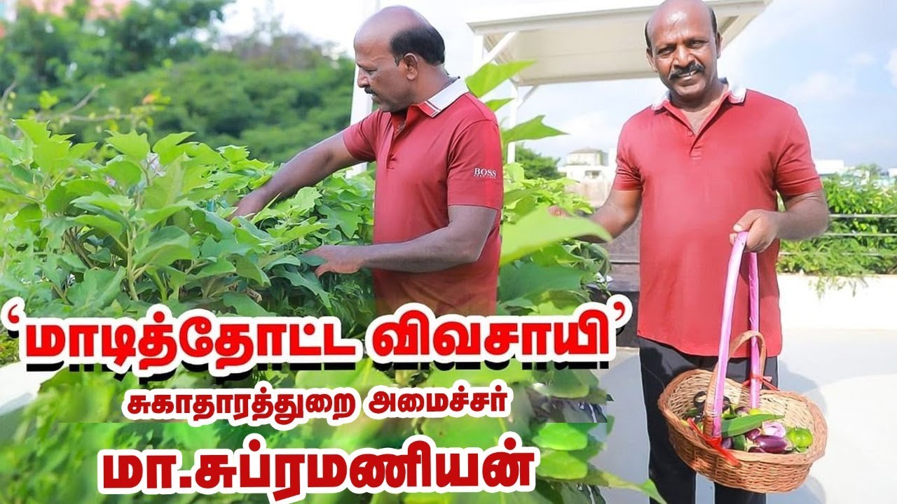 அமைச்சர் மா.சுப்பிரமணியன் மாடித்தோட்டம் | Health minister ma subramaniyan terrace garden tour