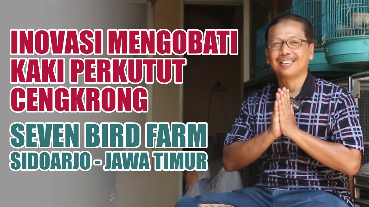 Eko Pambudi Owner Seven Bird Farm Taman Pondok Jati Sidoarjo - Jawa Timur