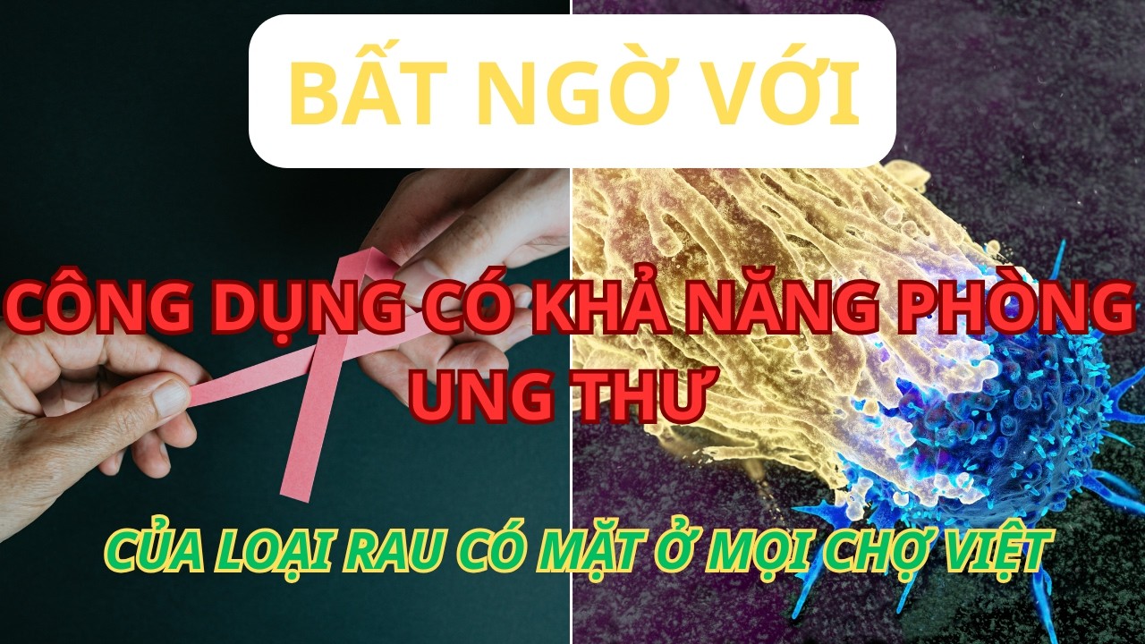 Bất Ngờ Với Công Dụng Chống Ung Thư Của Loại Rau Có Mặt Ở Mọi Chợ Việt