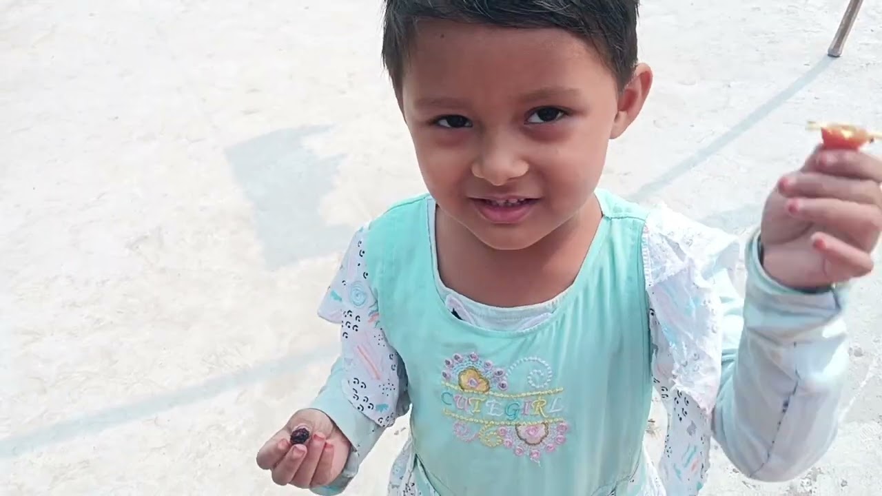 এখনো শীতের ডালিয়া ফুটছে,বাধাকপি উপহার দিচ্ছি সবাইকে||#roofgarden #এসোবাগানকরি 
