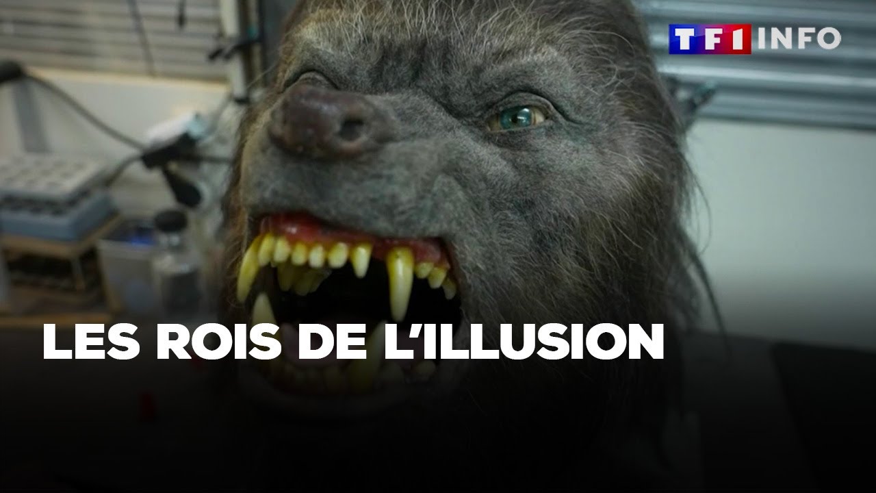 On vous montre l'envers du d&eacute;cor des effets sp&eacute;ciaux au cin&eacute;ma avec les rois de l'illusion｜TF1 INFO