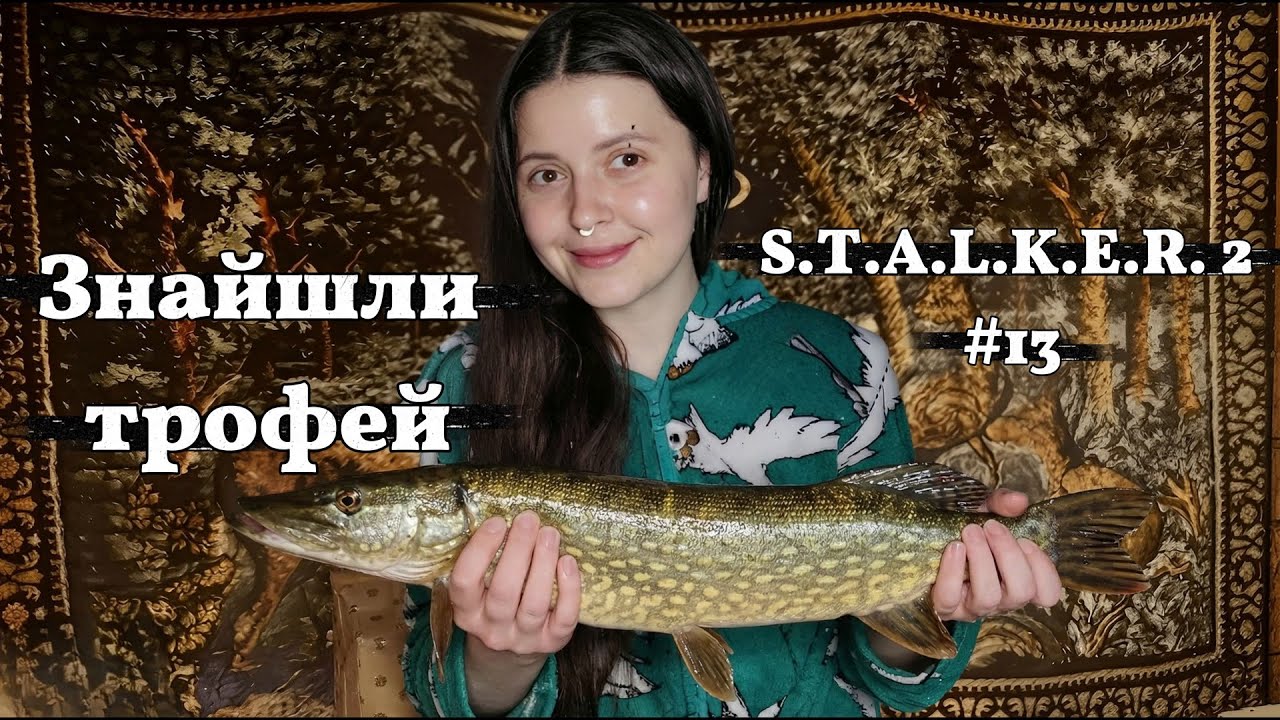 Довга прогулянка Зоною 👀 | S.T.A.L.K.E.R. 2 #13