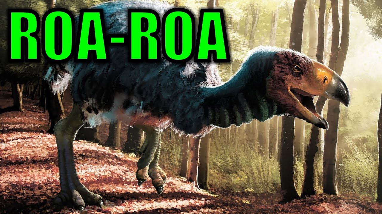 ROA-ROA | Criptozoologia