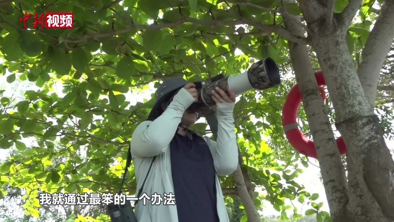 湿地守护者薛美丽：湿地就像我的孩子一样