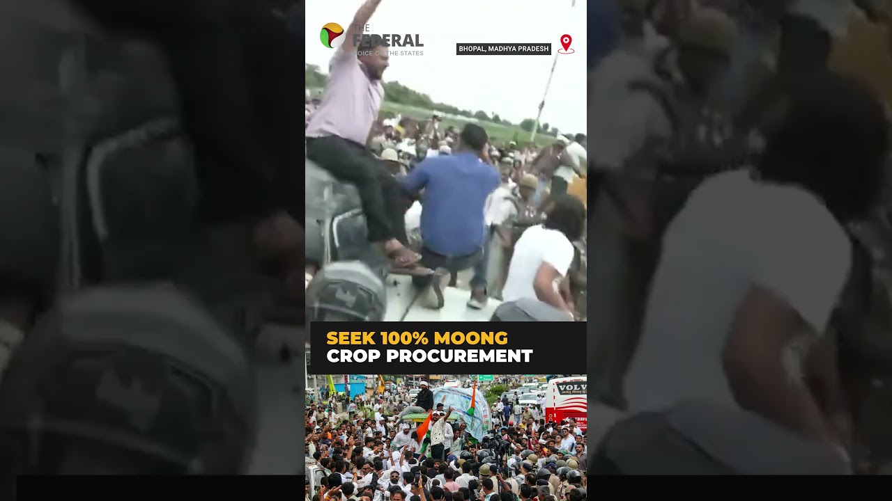 MP farmers march to Bhopal demanding 100% moong procurement at MSP | #shorts