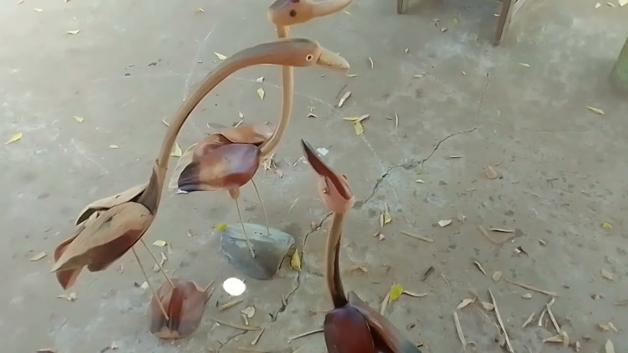 Como fazer garças com talos de Caraúbas não percam