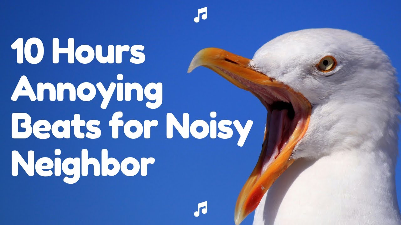 Track 5.10 - 10 Hours Annoying Beats (When Neighbors Get Loud). Long ugly sound