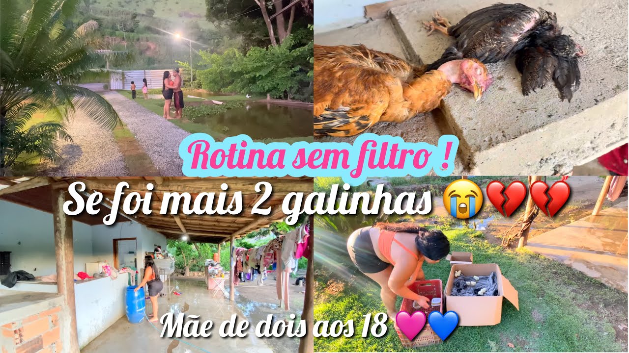 A Realidade Dura da Vida na Roça 💔😭 Se Foram Mais 2 Galinhas…