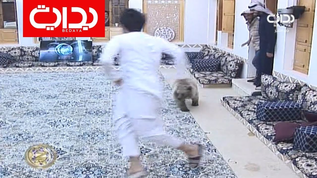 هجوم الدب دعبول على عبدالقادر الشهراني | #زد_رصيدك75