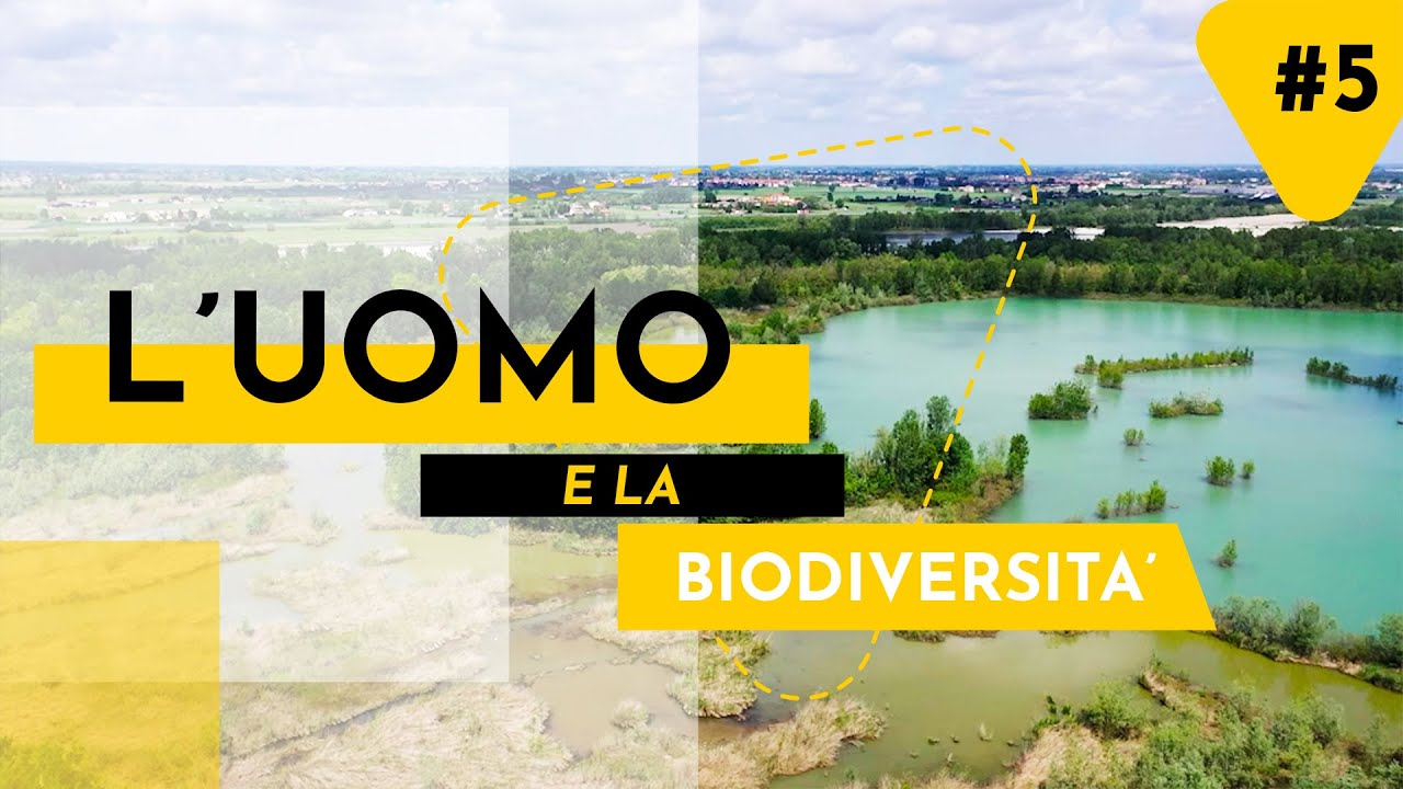 BIODIVERSIT&Agrave; IN ITALIA UNICA LA MONDO | DOCUMENTARIO
