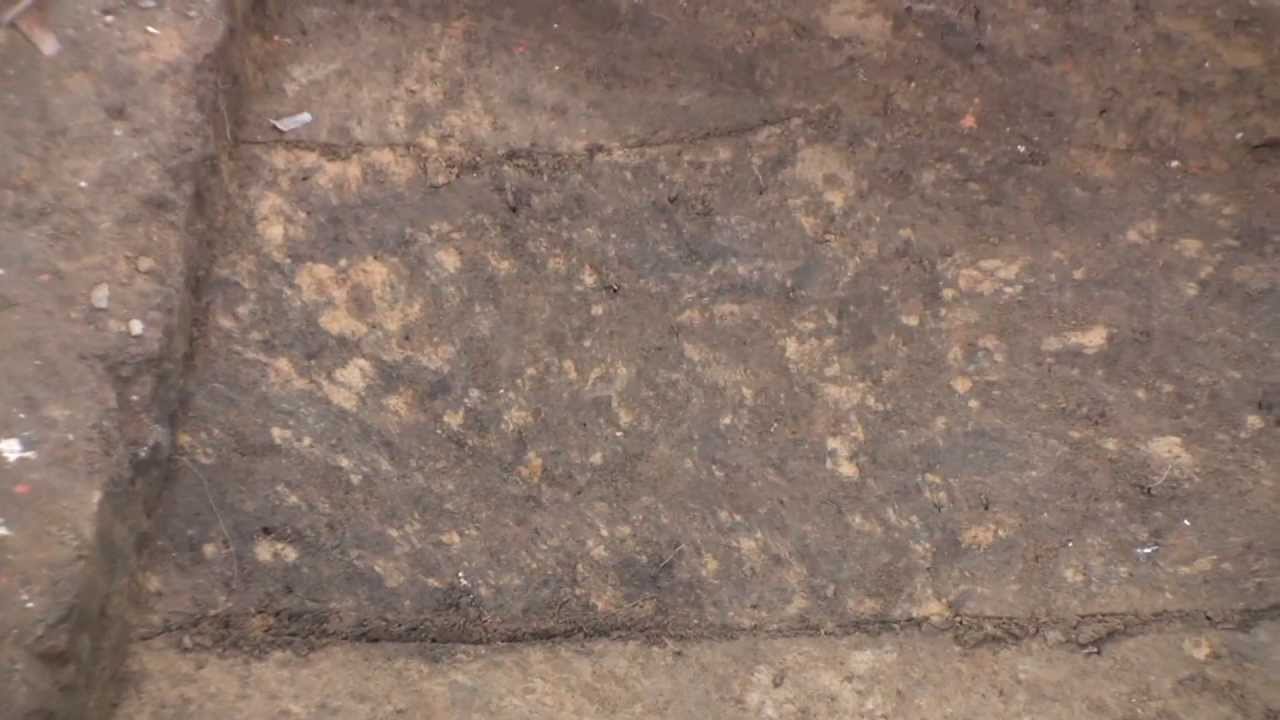 Обнаружены фрагменты стены палисада форта Джеймса, построенной в 1607 году
