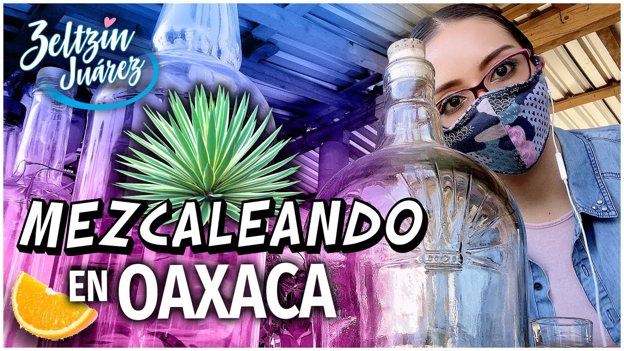 ASÍ SE HACE EL MEZCAL ARTESANAL EN OAXACA 😱🇲🇽
