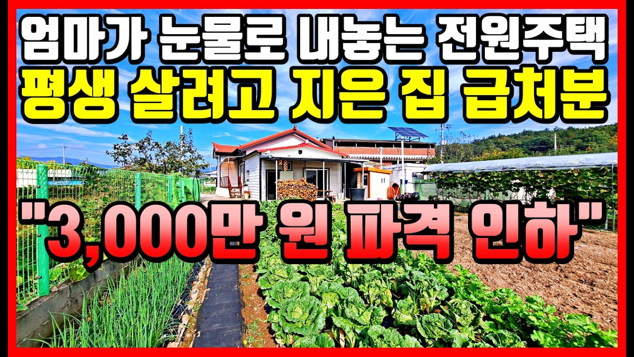 [급매물] 엄마가 울면서 3,000만 원 내렸습니다. 평생 살려고 정성껏 지은 전원주택! 영천부동산 영천주택매매 영천시골집  #착한부동산