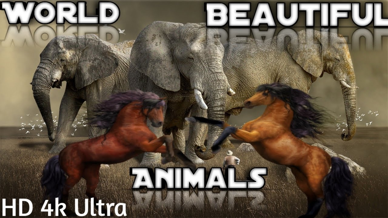 New Beautiful Animal video 2021./// Amazing and Awesome Animal video.