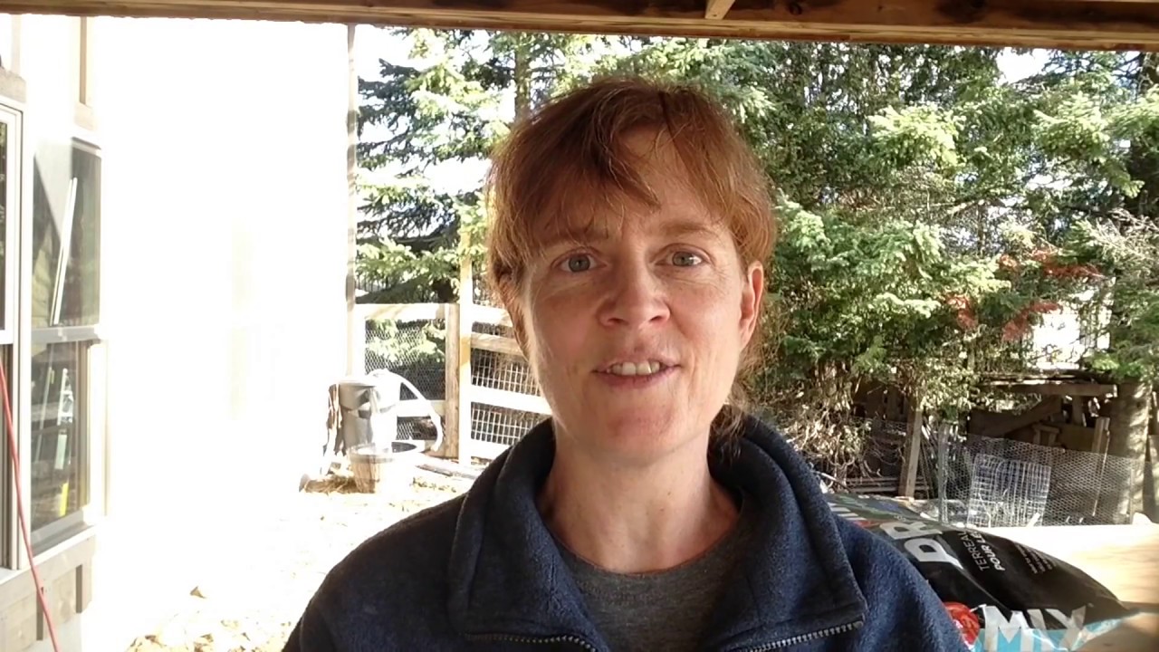 How to Winter Sow Seeds