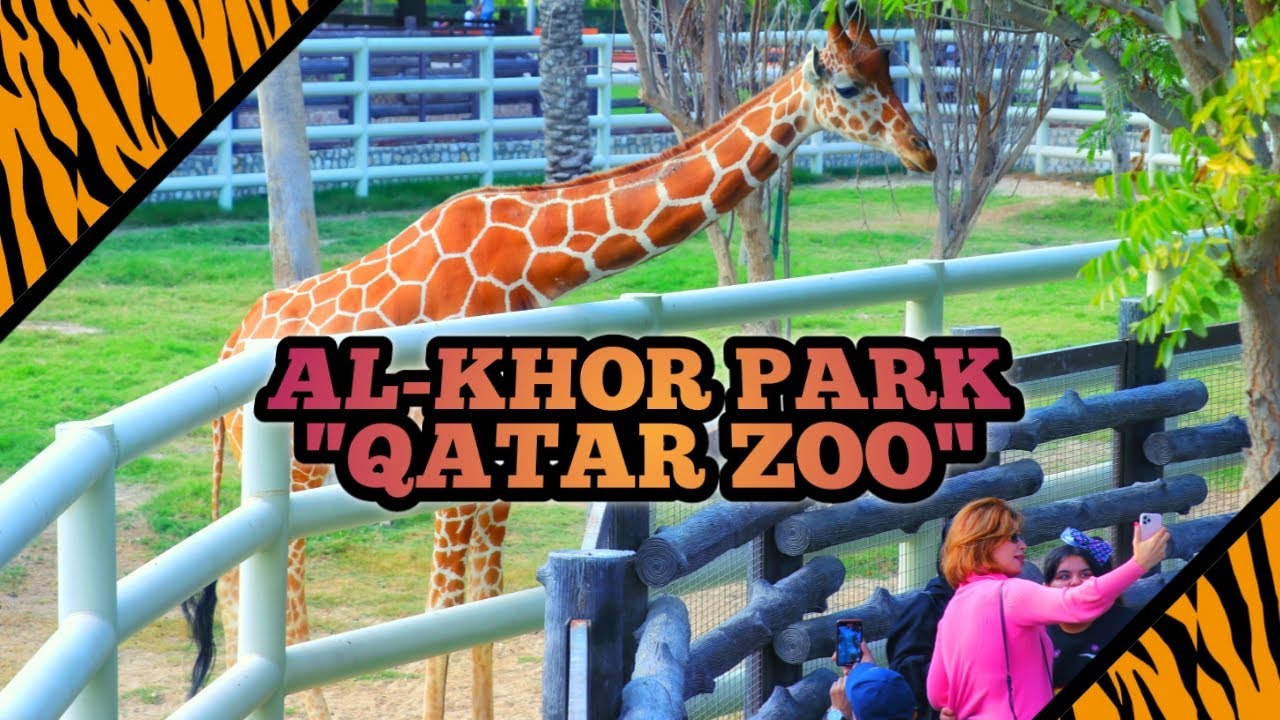 Al-Khor Park and Zoo | One The Best Destination in Qatar
