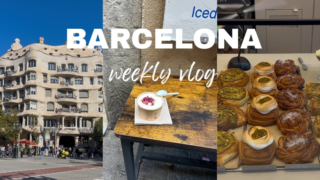 Brunch 🥑, Gourment Gift Shopping 🍾& Chocolate museum 🍫 | Weekly Vlog #1