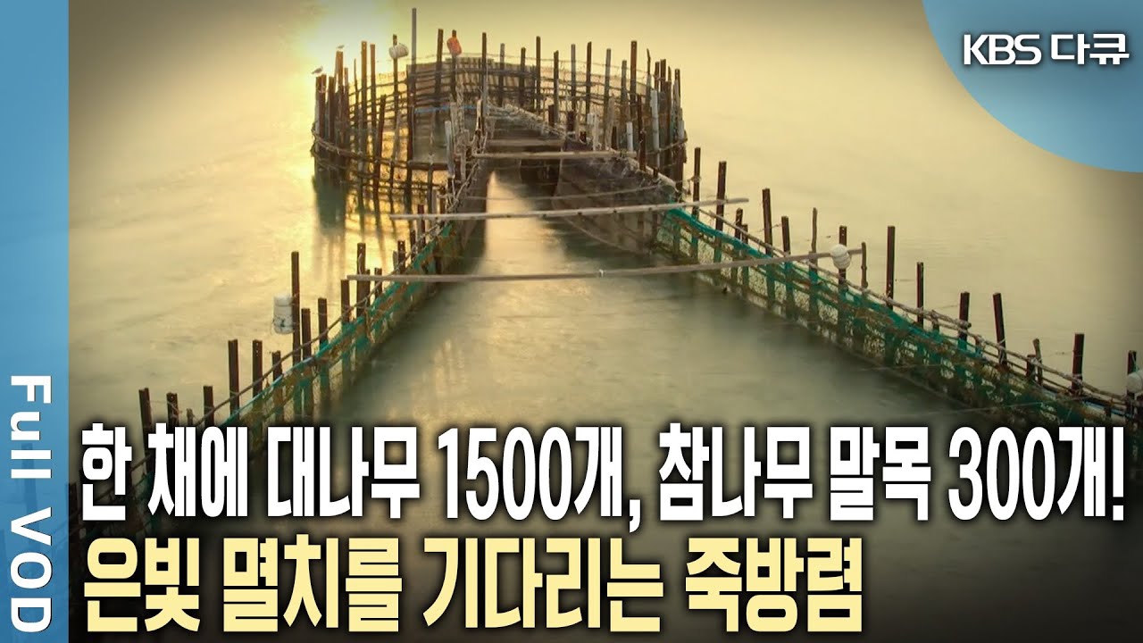 하루의 8할이 기다림인 시간! 은빛 찬란한 멸치떼를 기다린다! 5백년 넘게 이어진 전통 어업유산 '죽방렴' (KBS 20141218 방송)