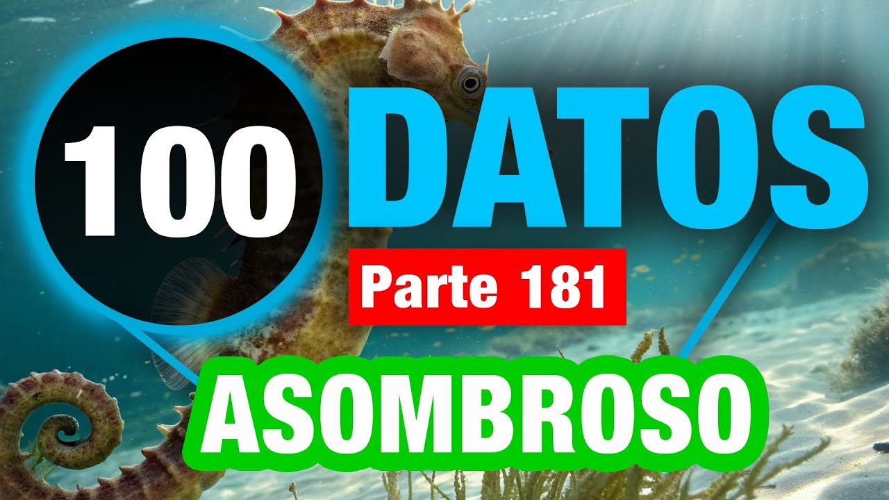 100 Datos Poco Conocidos Que No Sab&iacute;as
