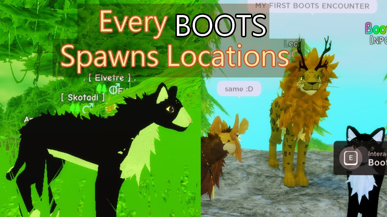 Felandia: Every Boots Locations