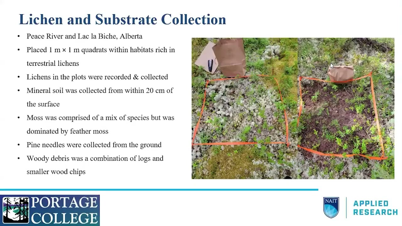 Growth and survival of lichen of different sizes and substrates in a greenhouse | ARCKP Webinar