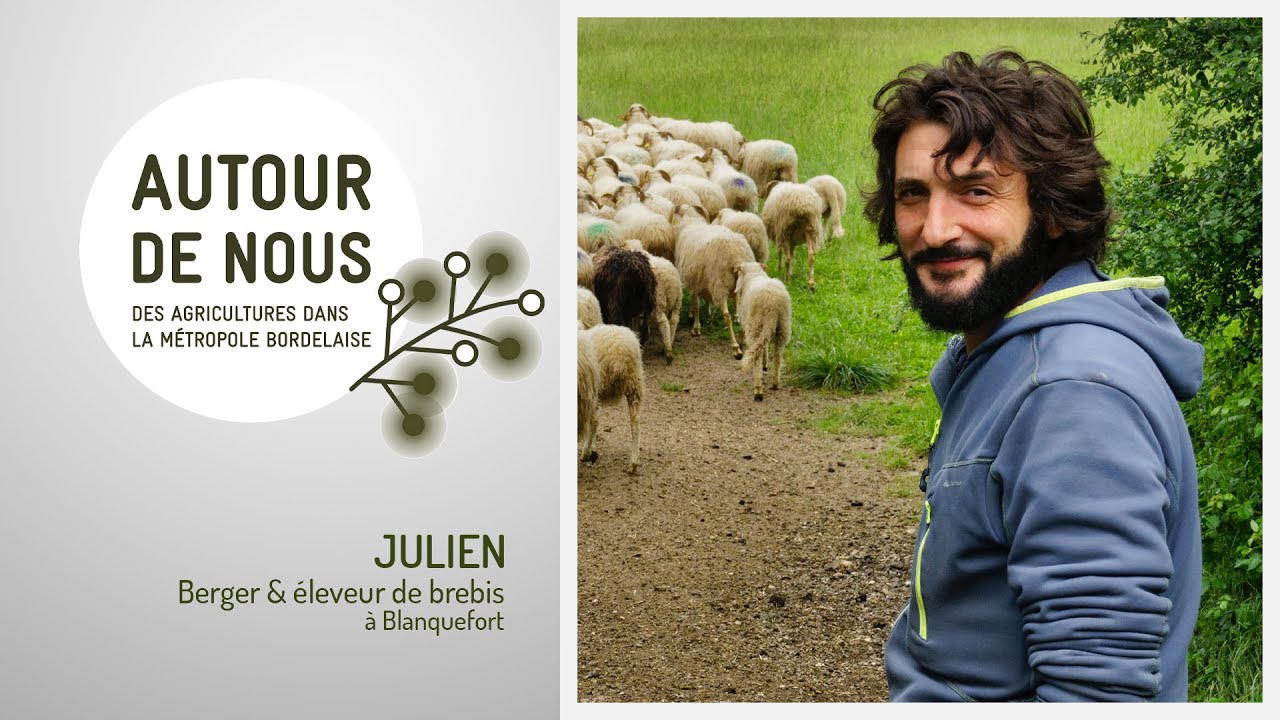 Épisode 7 - Julien – Berger éleveur de brebis basco-béarnaises à Blanquefort