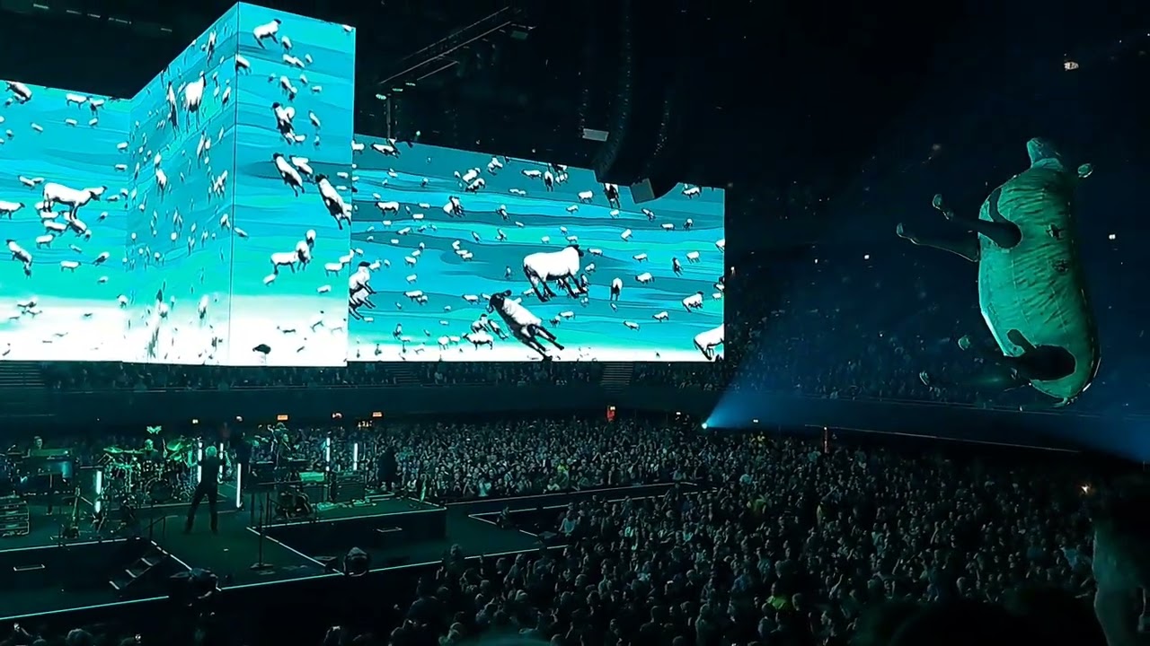 Roger Waters ''Sheep'' Amsterdam ZiggoDome 7-4-2023