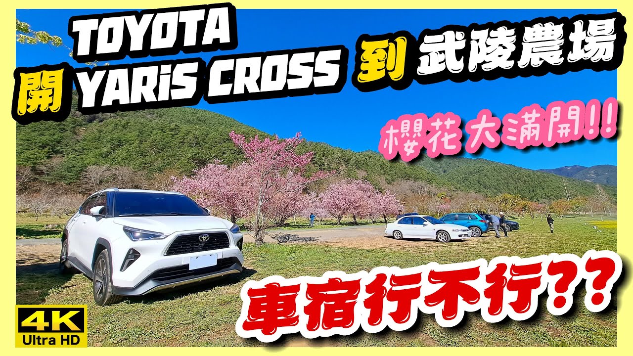 開箱｜TOYOTA YARiS CROSS｜開【大鴨】到【武陵農場】車宿行不行??｜櫻花大滿開!!｜公路旅行｜Road Trip｜자동차여행｜くるま旅