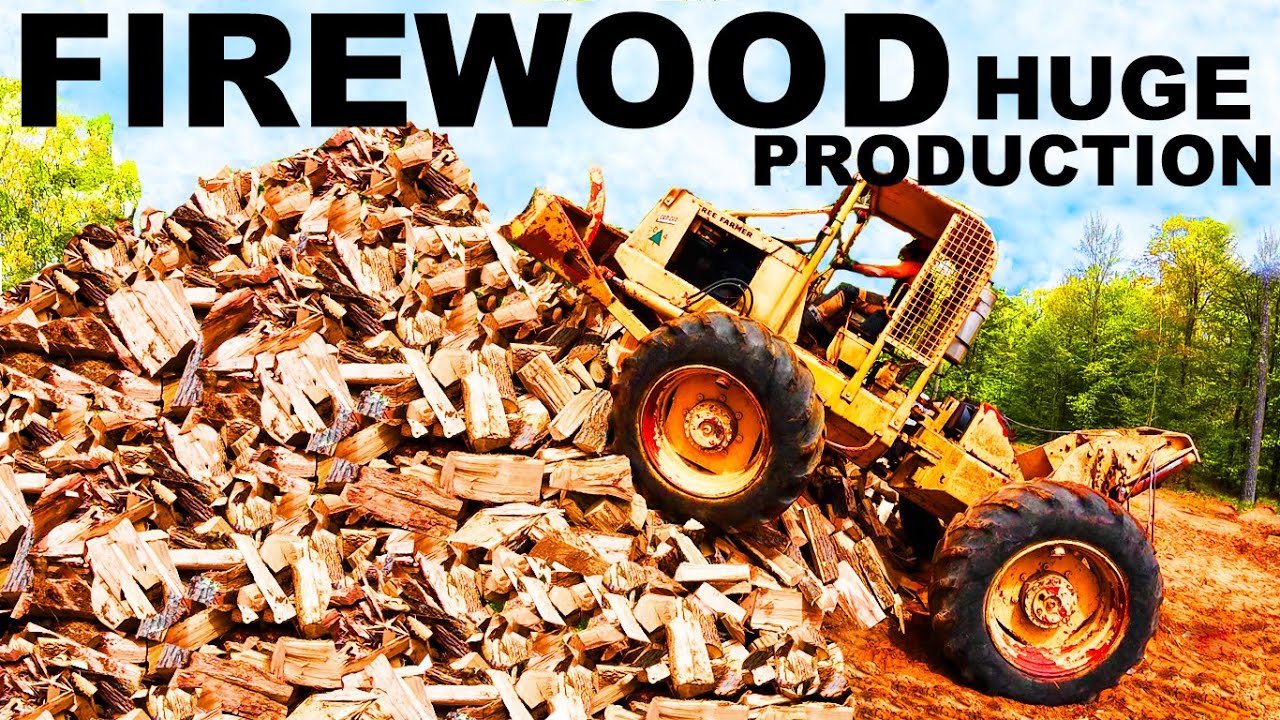 FIREWOOD FUN ...THAT I WOULD PAY TO DO!
