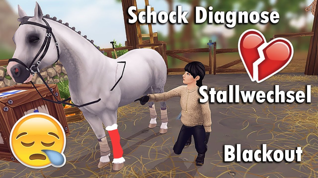 bestes Video zum Leveln 😳🐴 XXL Leveltalk
