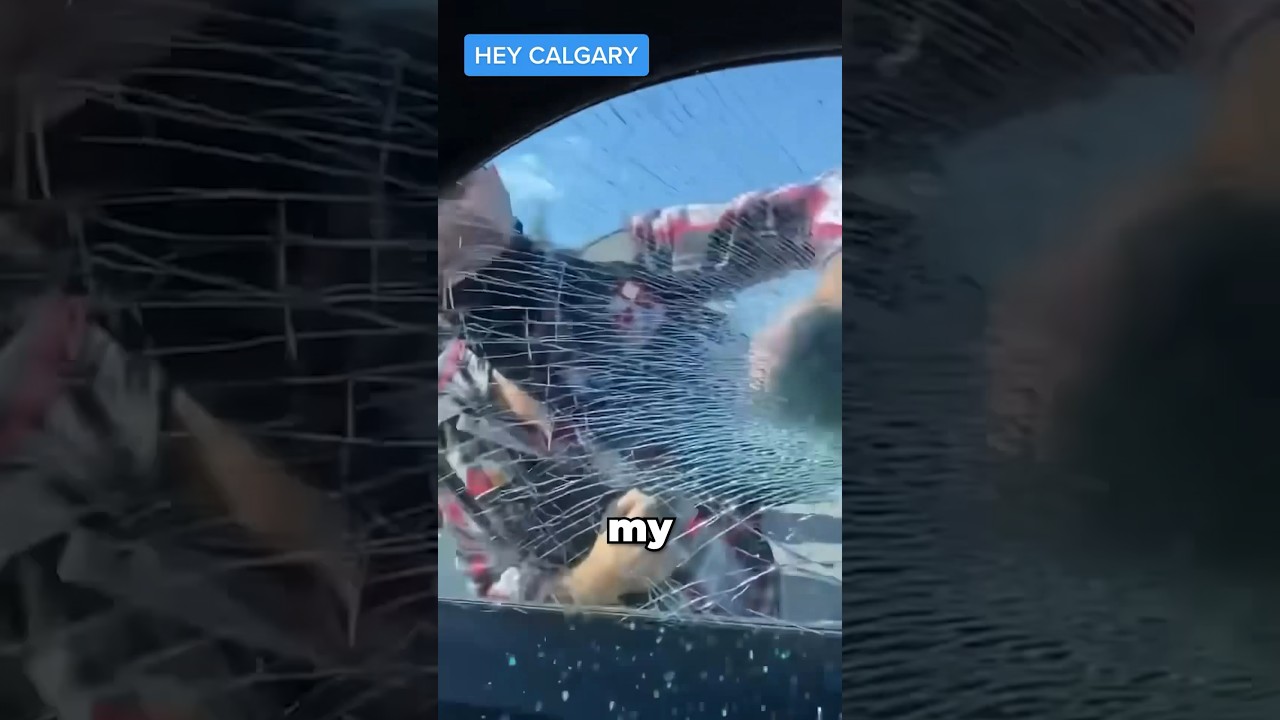Canadian Kevin punches car window