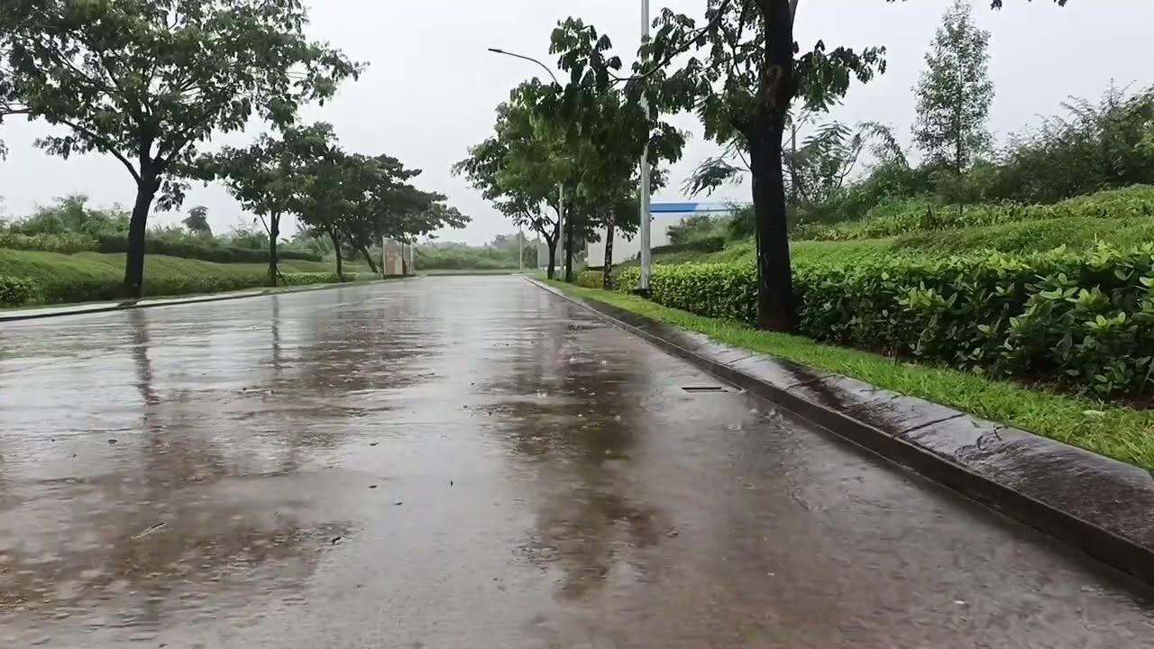 Gentle to Heavy Rain Sounds for Sleeping & Relaxing | Nature White Noise | 3 Hours