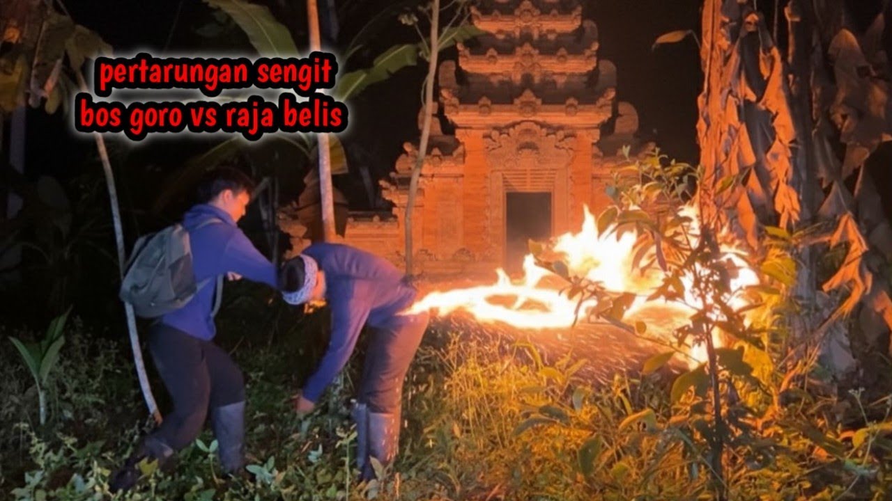 MERINDING ‼️ JURUS BARU BOS GORO