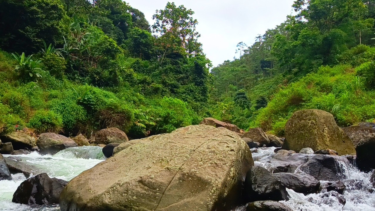 Peaceful Mountain Stream – Calming Water Sounds for Stress Relief