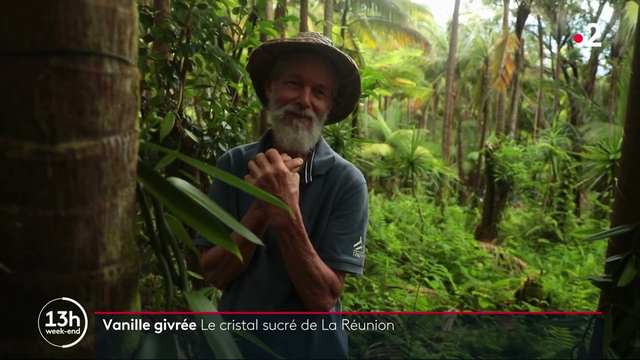 La vanille givrée de La Réunion, août 2022