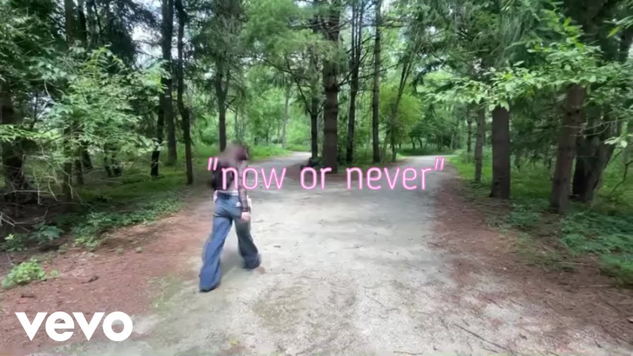 diane - now or never
