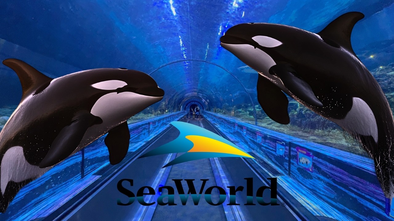 SeaWorld Orland Florida 2026 | Full Walkthrough Tour