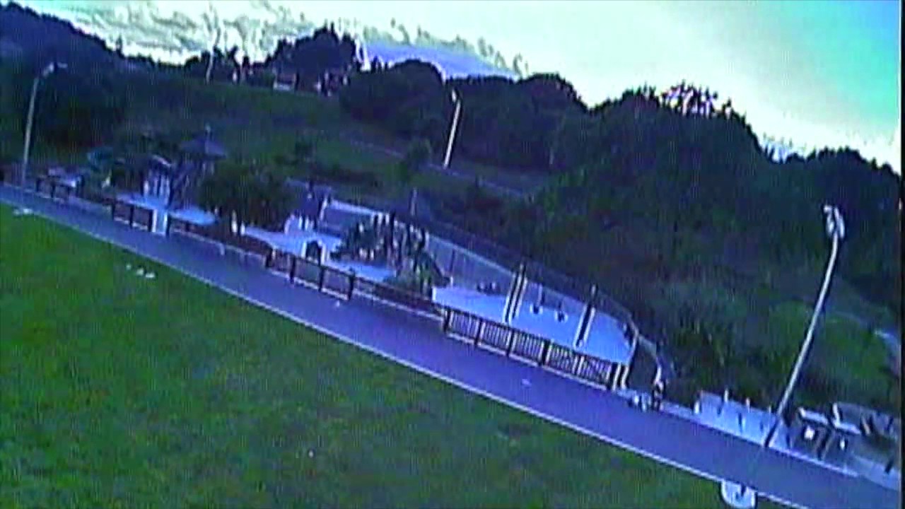 First FPV Video and crashes :)