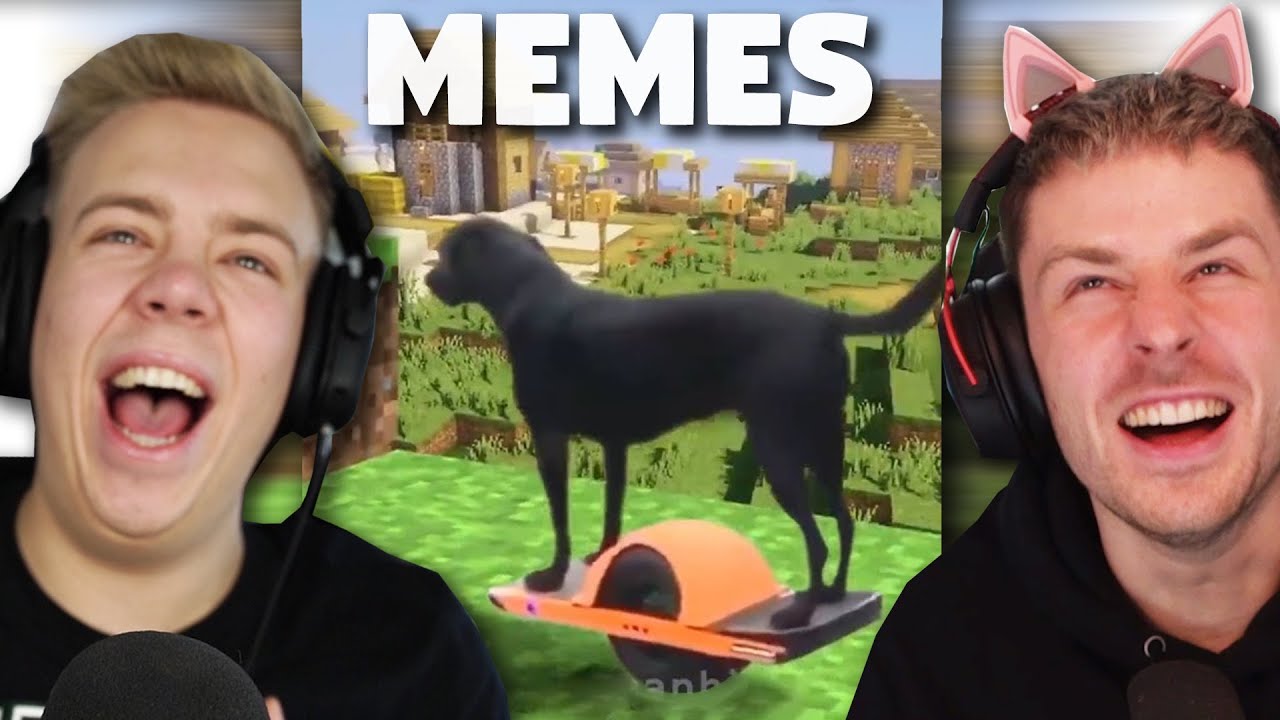 MEMES, aber versuche nicht zu LACHEN... @AviveHD